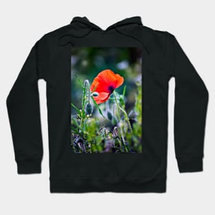 One Wild Poppy Hoodie